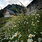 Waldhaus Klein-veitsch, Auszeit Im Gruenen Apartamento