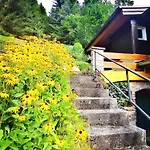 Waldhaus Klein-veitsch, Auszeit Im Grünen Niederaigen