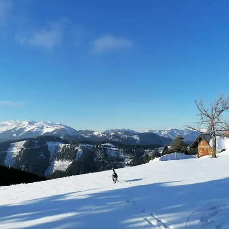 Apartamento Waldhaus Klein-veitsch, Auszeit Im Gruenen Niederaigen