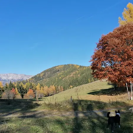 Waldhaus Klein-veitsch, Auszeit Im Grünen *