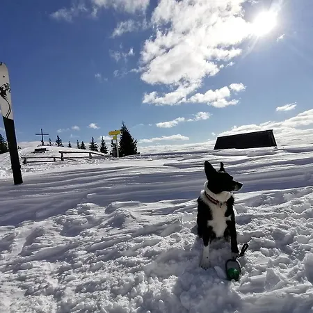 Waldhaus Klein-veitsch, Auszeit Im Gruenen Apartamento *