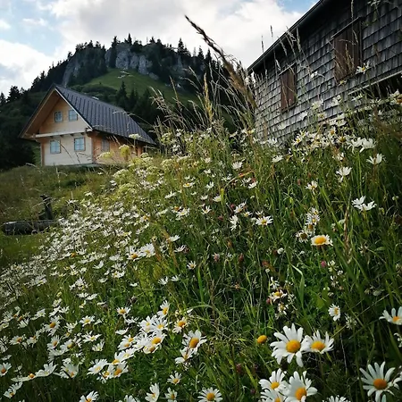 Waldhaus Klein-veitsch, Auszeit Im Gruenen Apartamento