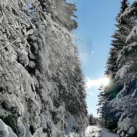 Apartamento Waldhaus Klein-veitsch, Auszeit Im Gruenen *