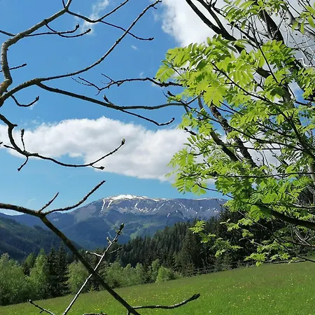 Waldhaus Klein-veitsch, Auszeit Im Gruenen Daire Niederaigen