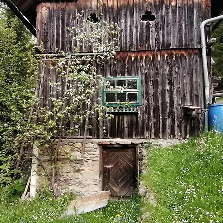 Waldhaus Klein-veitsch, Auszeit Im Gruenen *