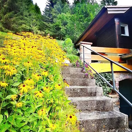 Waldhaus Klein-veitsch, Auszeit Im Gruenen Niederaigen