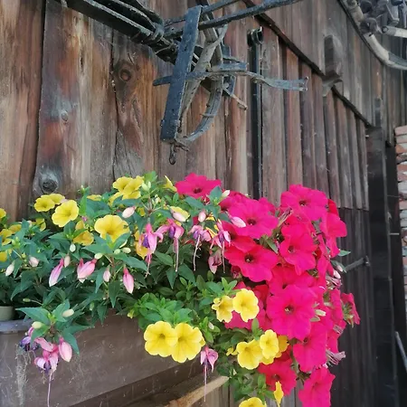 Waldhaus Klein-veitsch, Auszeit Im Gruenen Apartamento