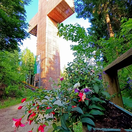 Appartement Waldhaus Klein-veitsch, Auszeit Im Gruenen Niederaigen