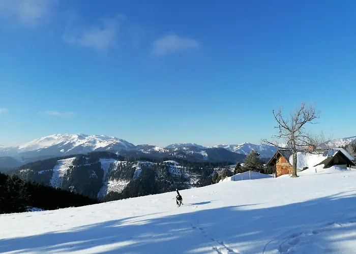 公寓 Waldhaus Klein-veitsch, Auszeit Im Gruenen Niederaigen