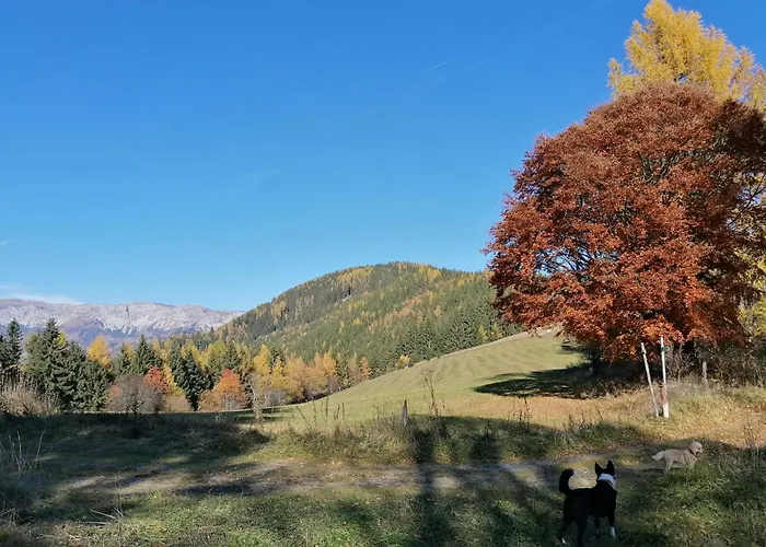 Waldhaus Klein-veitsch, Auszeit Im Gruenen *