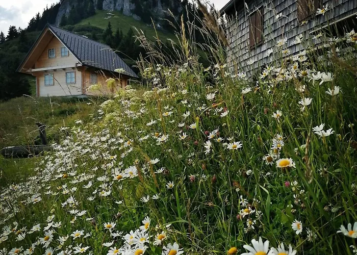 Waldhaus Klein-veitsch, Auszeit Im Gruenen 公寓