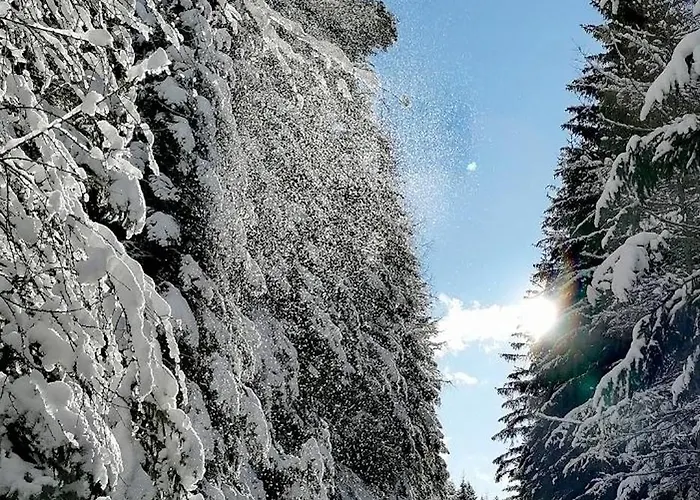 公寓 Waldhaus Klein-veitsch, Auszeit Im Gruenen *