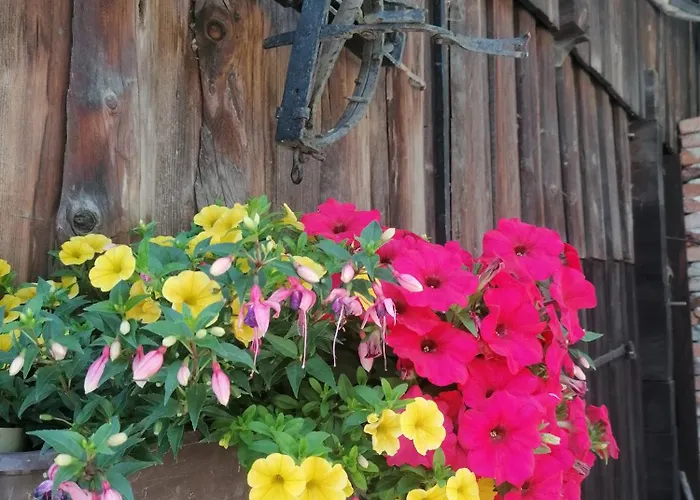 Waldhaus Klein-veitsch, Auszeit Im Gruenen 公寓