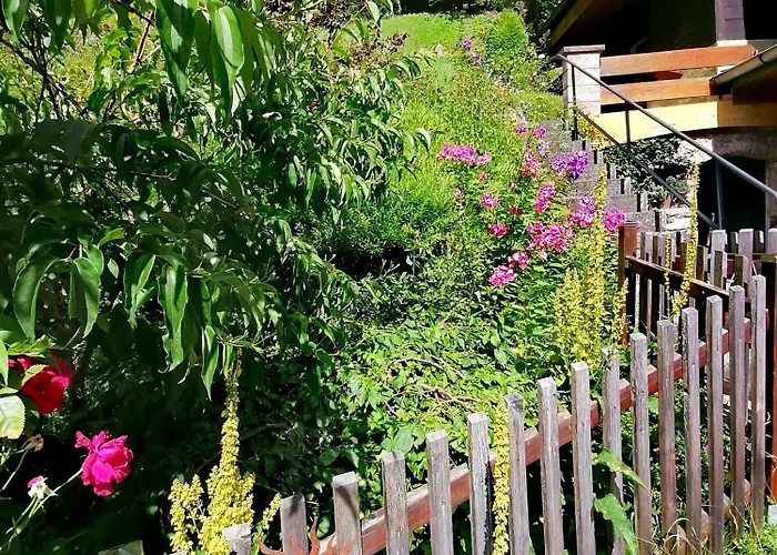 Waldhaus Klein-veitsch, Auszeit Im Gruenen 公寓